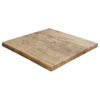 Horeca-Tafelblad-Werzalit-DE-Findus-70x70-3-Cm-Dik-B