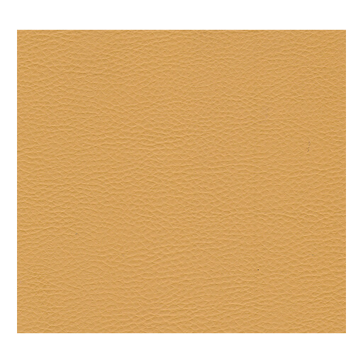 Sky Kuntsleer Bronco Leo A30