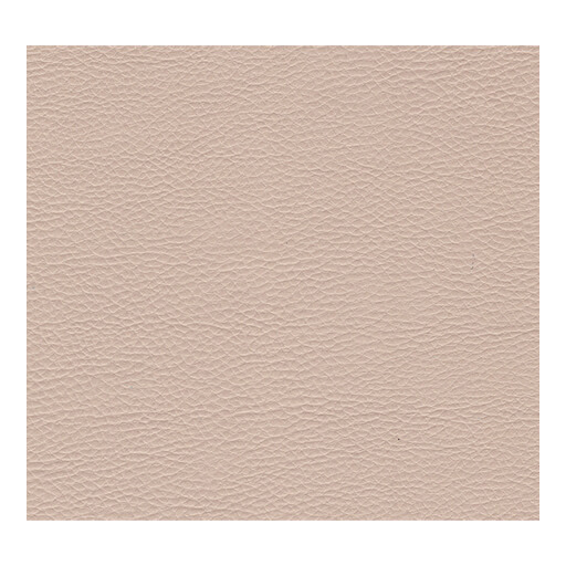 Sky Kuntsleer Bronco Leo A32