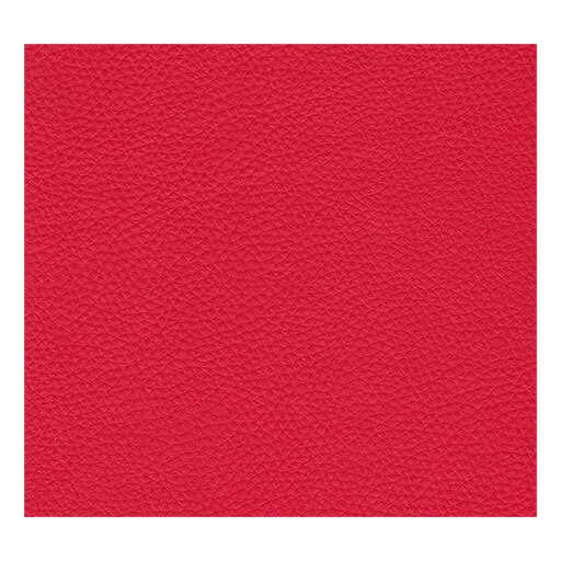 Sky Kuntsleer Bronco Leo A70