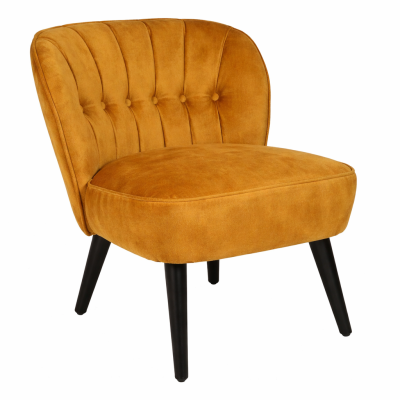 BELLINI-V-COGNAC